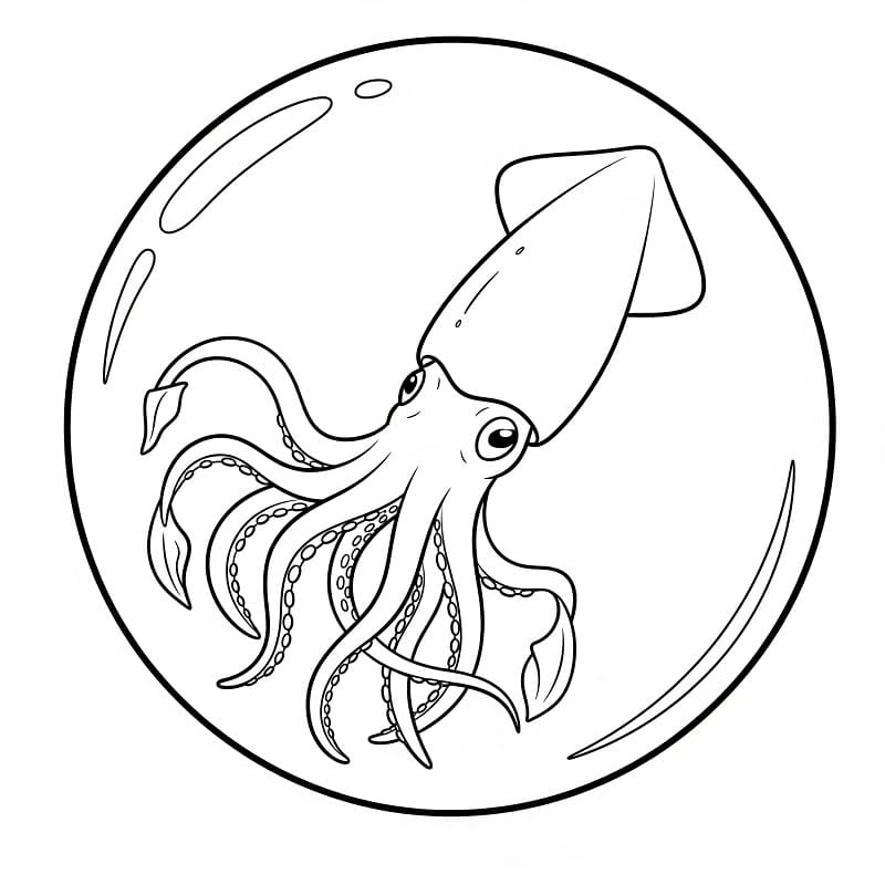 Almindelig blæksprutte Tegninger til Farvelægning