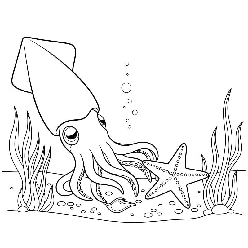 Blæksprutte og søstjerner Tegninger til Farvelægning