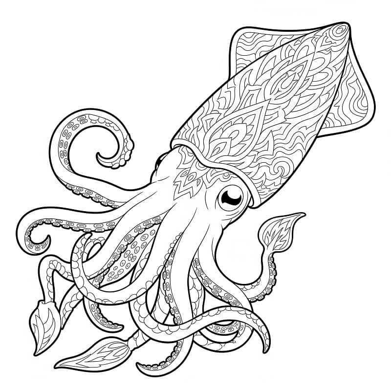 Blæksprutte sove Tegninger til Farvelægning