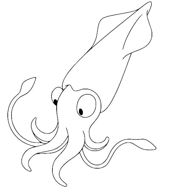 Blæksprutten Tegninger til Farvelægning