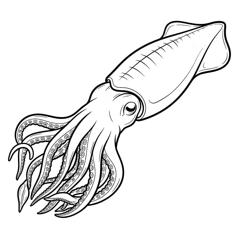 Gratis blæksprutte til print Tegninger til Farvelægning