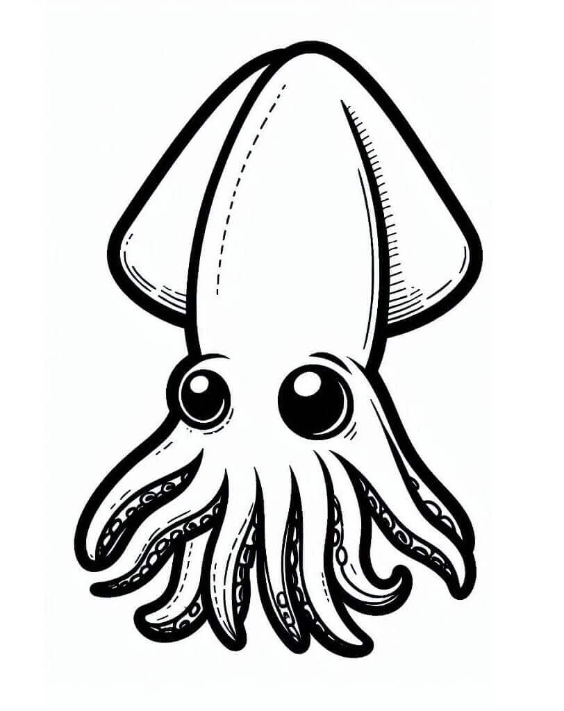 Blæksprutte Tegninger til Farvelægning