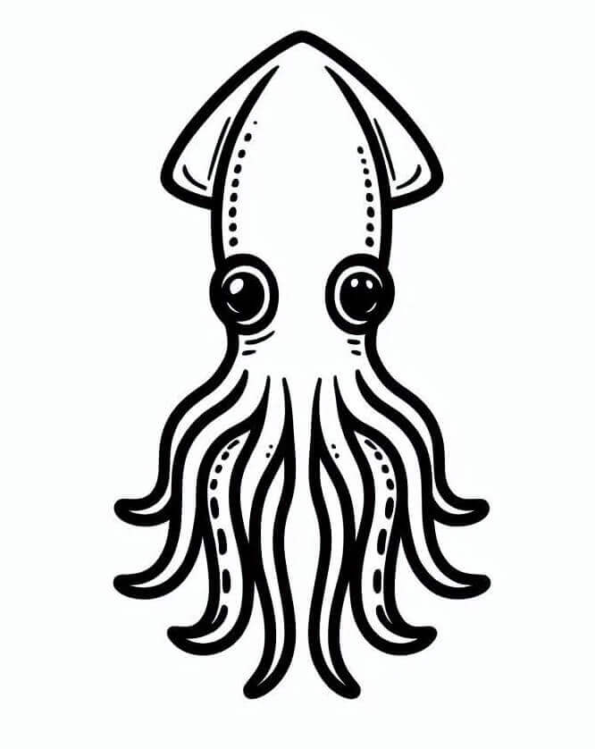 Normal blæksprutte Tegninger til Farvelægning