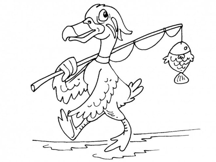 And fisker Tegninger til Farvelægning