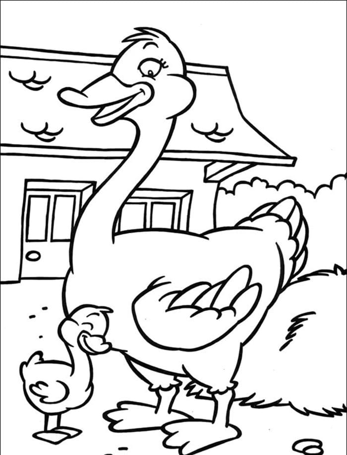 Andefarm Tegninger til Farvelægning