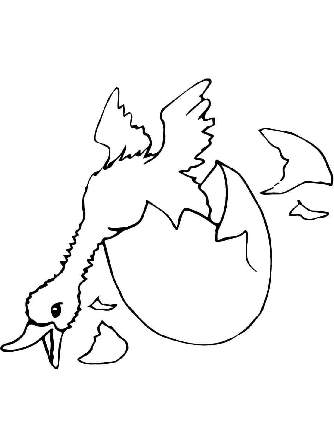 Andeunge klækker og råber Tegninger til Farvelægning