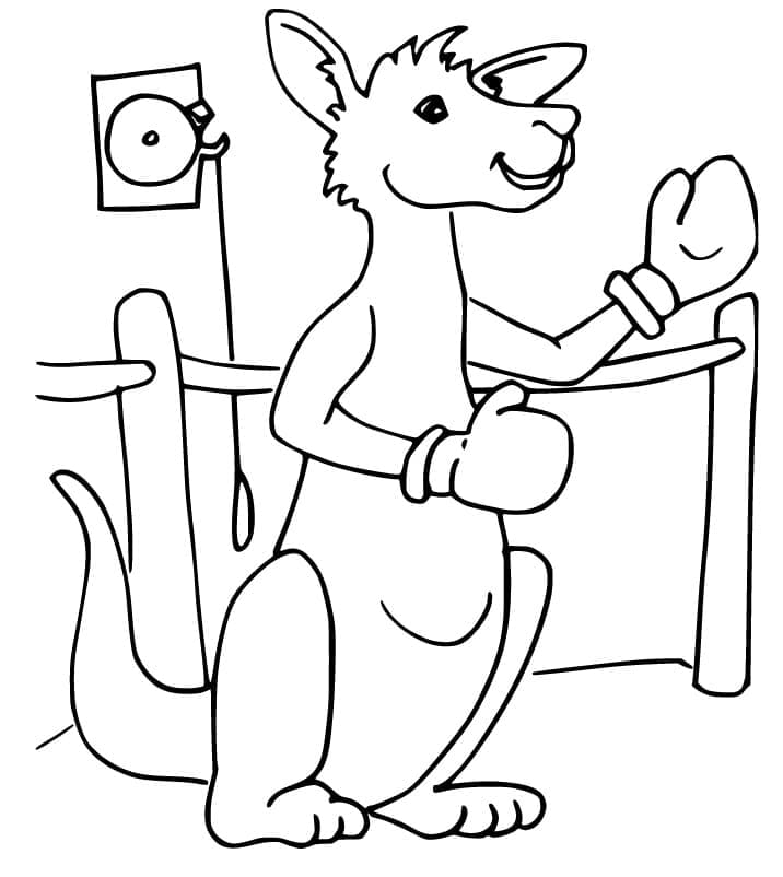 Boksende kænguru Tegninger til Farvelægning