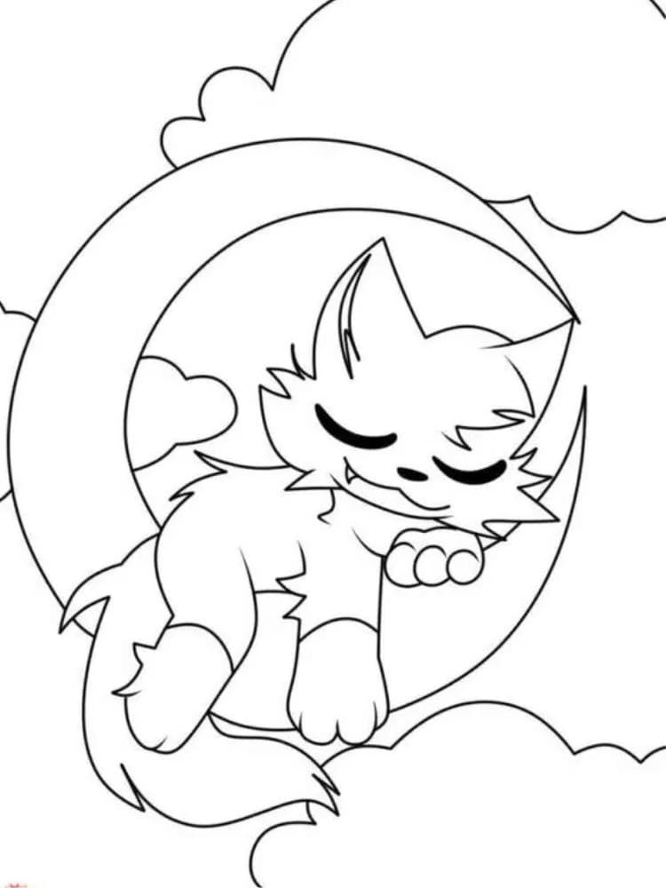 Catnap Sove Tegninger til Farvelægning