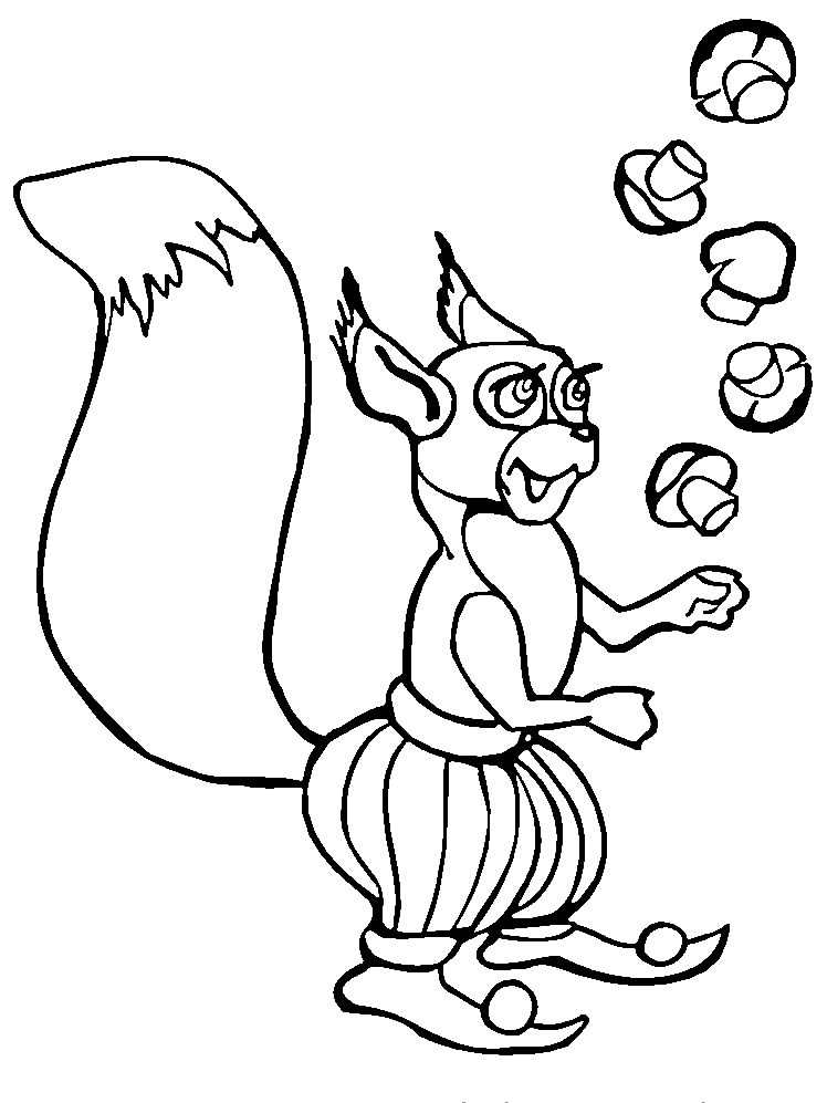 Egern med svampe Tegninger til Farvelægning