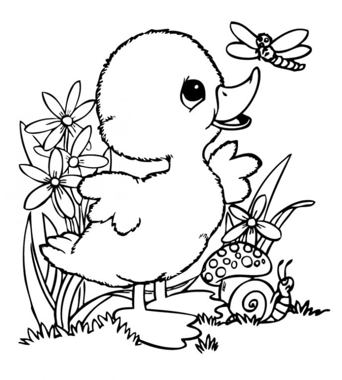 En and leger i naturen Tegninger til Farvelægning