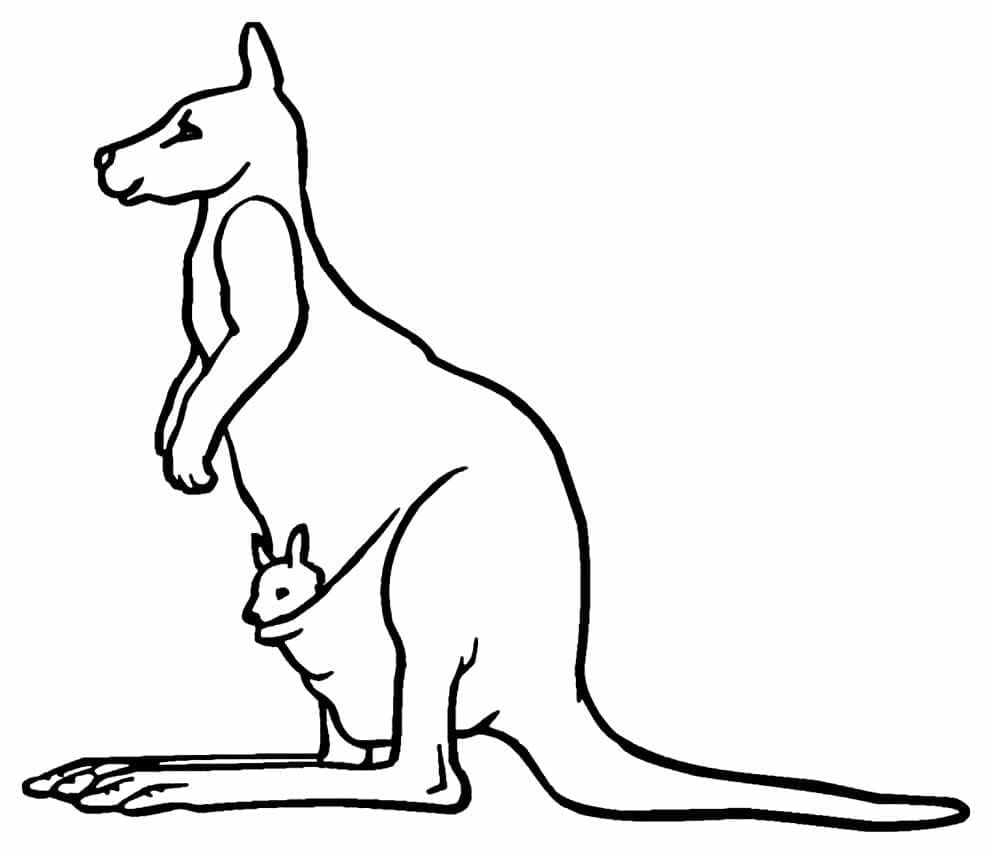 Gratis printbare kænguruer Tegninger til Farvelægning
