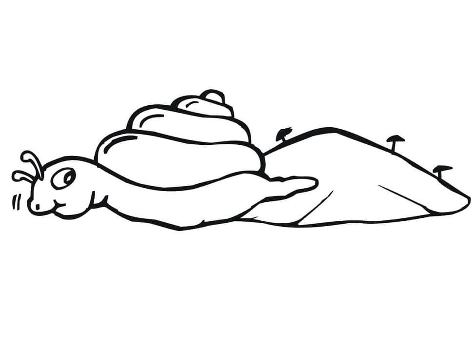 Krybende snegl Tegninger til Farvelægning