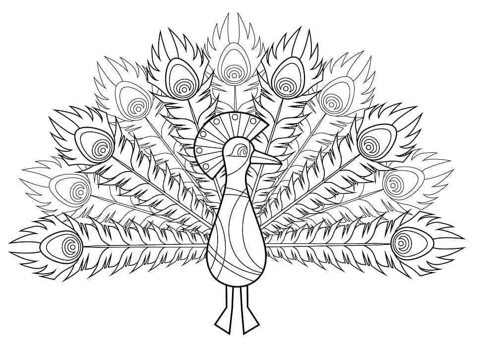 Meget flot påfugl Tegninger til Farvelægning