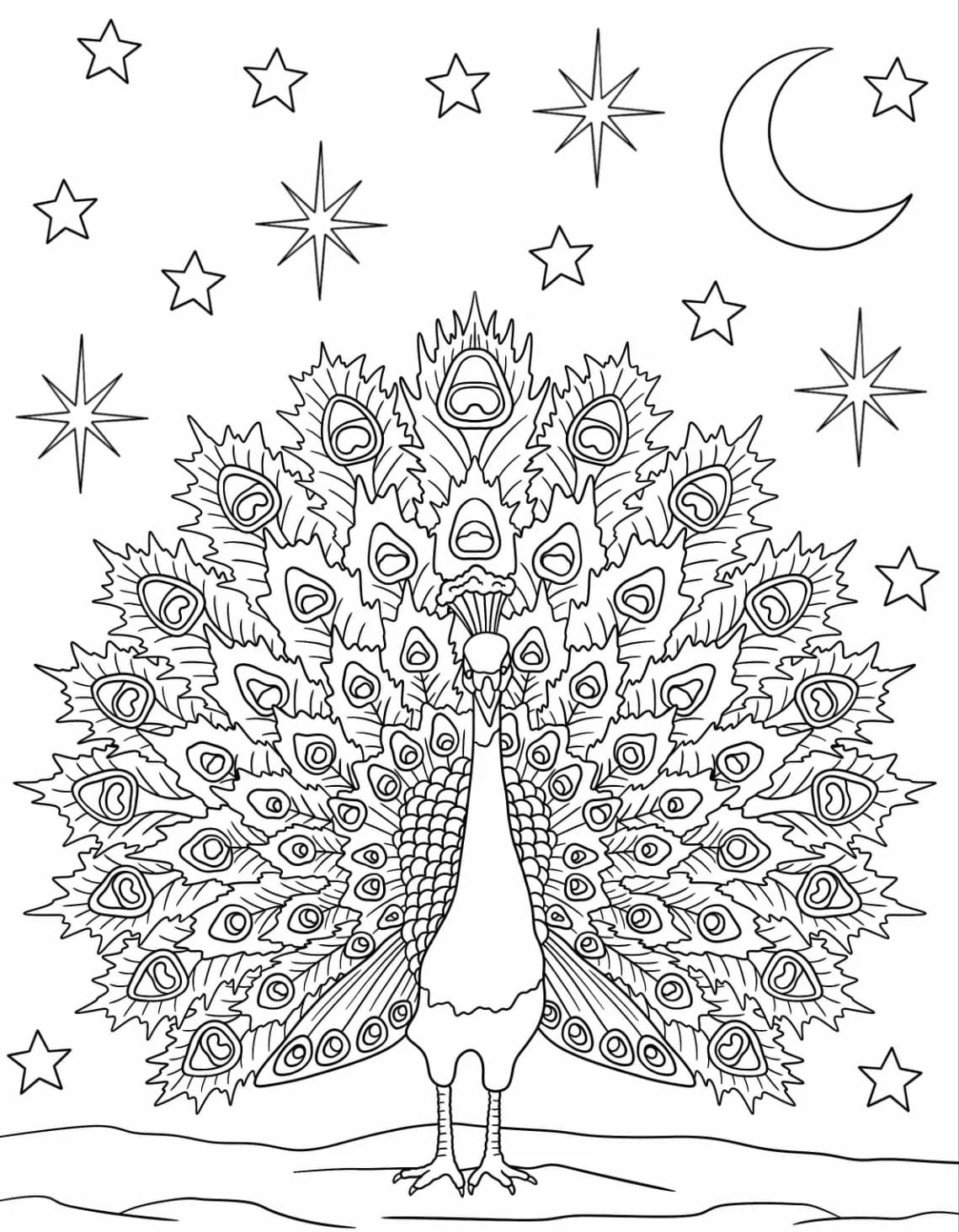 Påfugl om natten Tegninger til Farvelægning