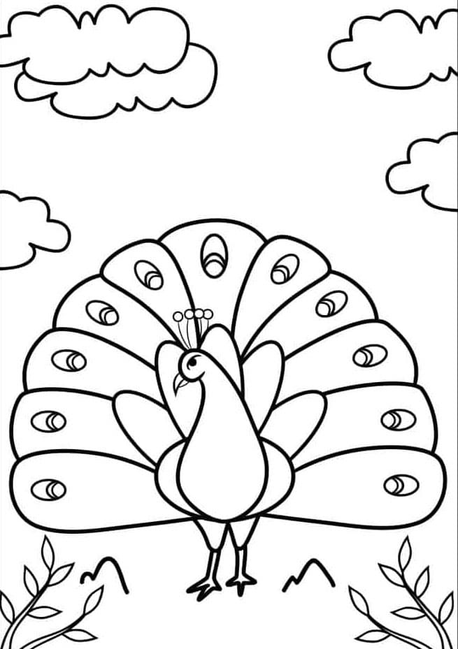 Simpel påfugl gratis Tegninger til Farvelægning
