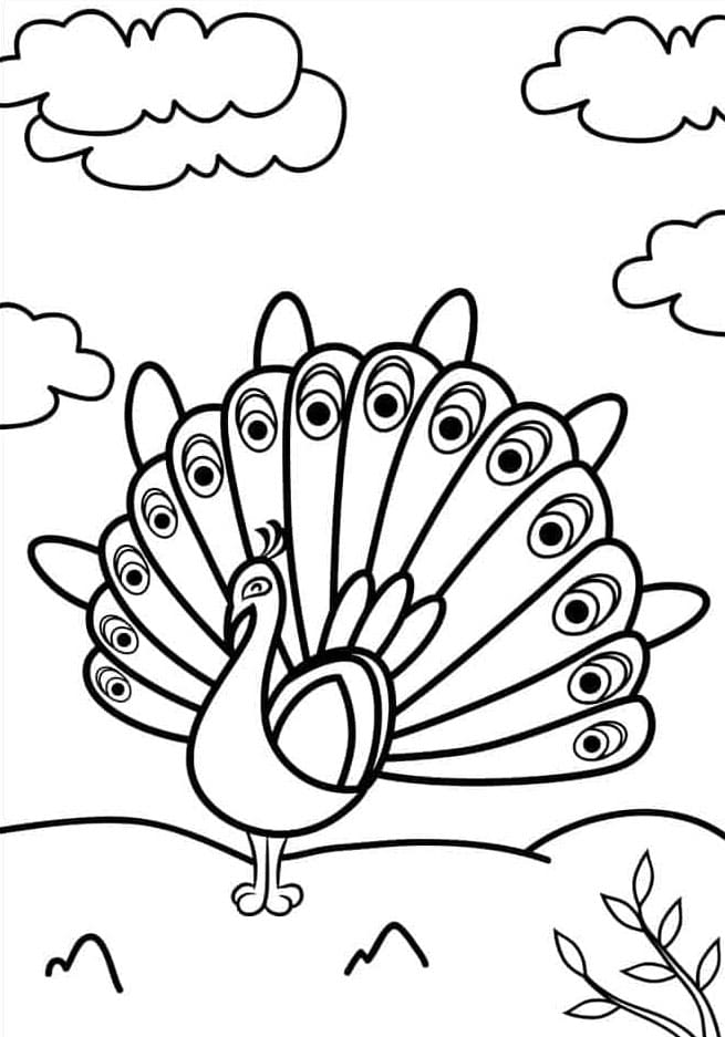 Sød påfugl Tegninger til Farvelægning