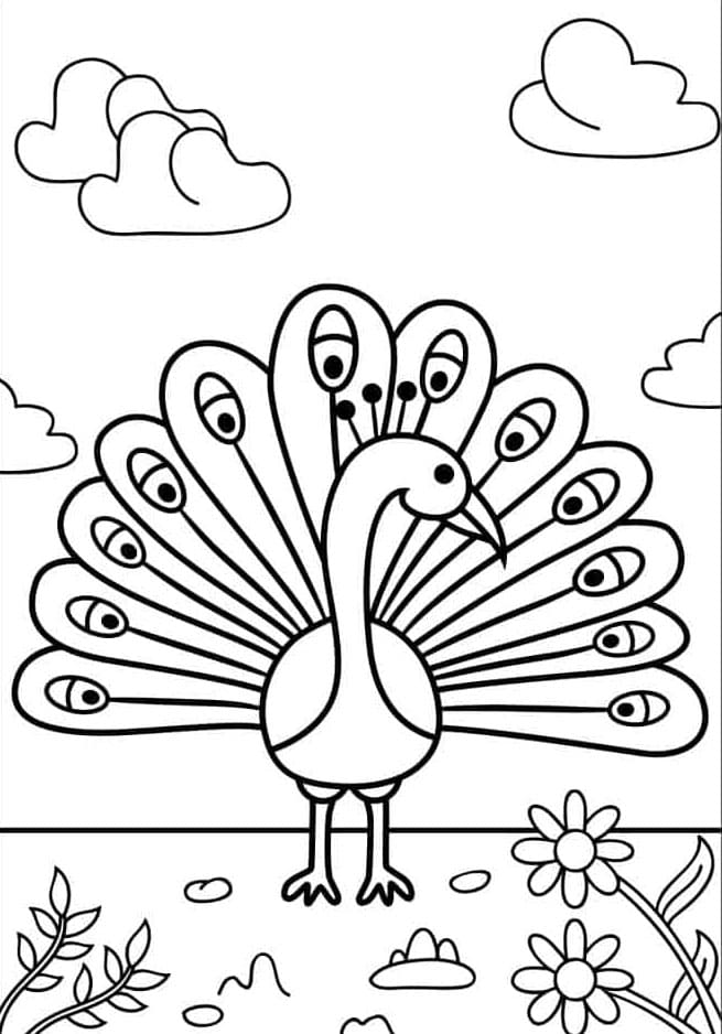 Sød påfuglebillede Tegninger til Farvelægning