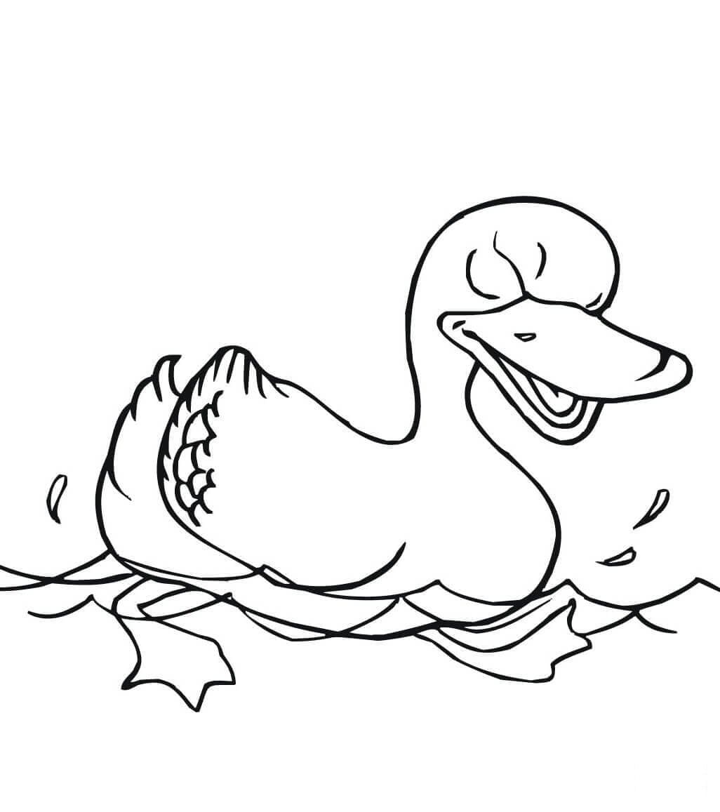 Svømmende and ser så vred ud Tegninger til Farvelægning