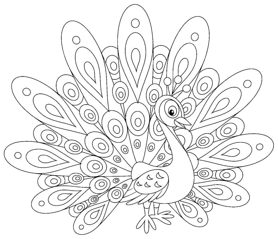 Trykt påfugl Tegninger til Farvelægning