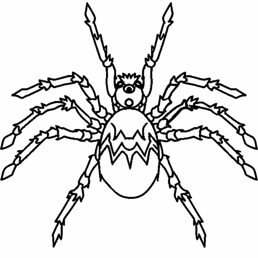 Edderkopbillede gratis Tegninger til Farvelægning