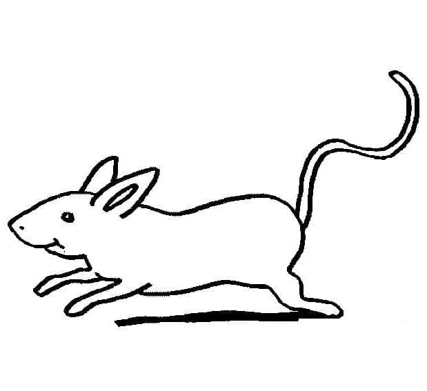 Løbende mus Tegninger til Farvelægning