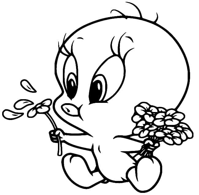 Baby Pip-ansigt Tegninger til Farvelægning