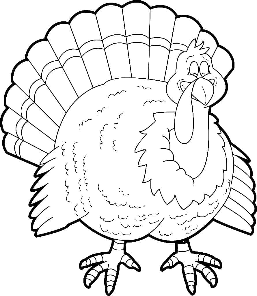 Fed kalkun Tegninger til Farvelægning
