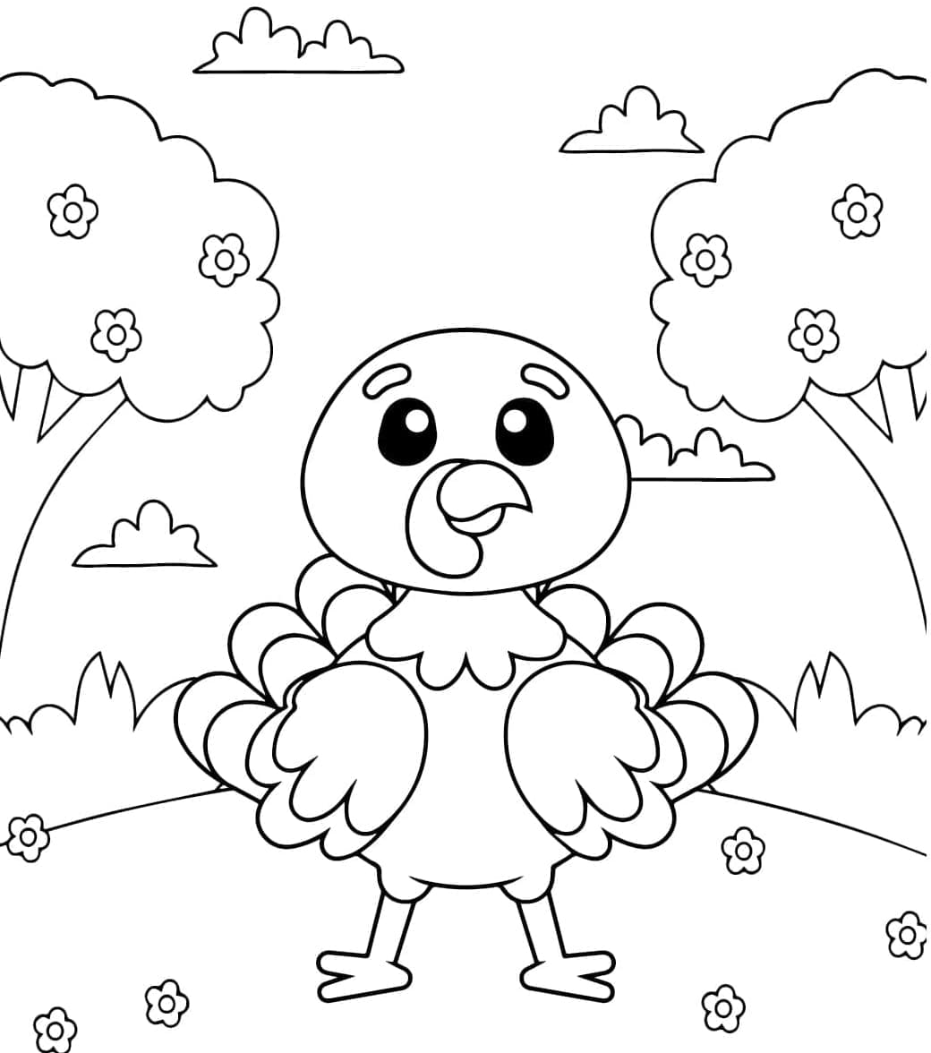 Nem kalkun Tegninger til Farvelægning