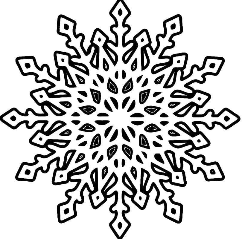 Sej snefnug Tegninger til Farvelægning