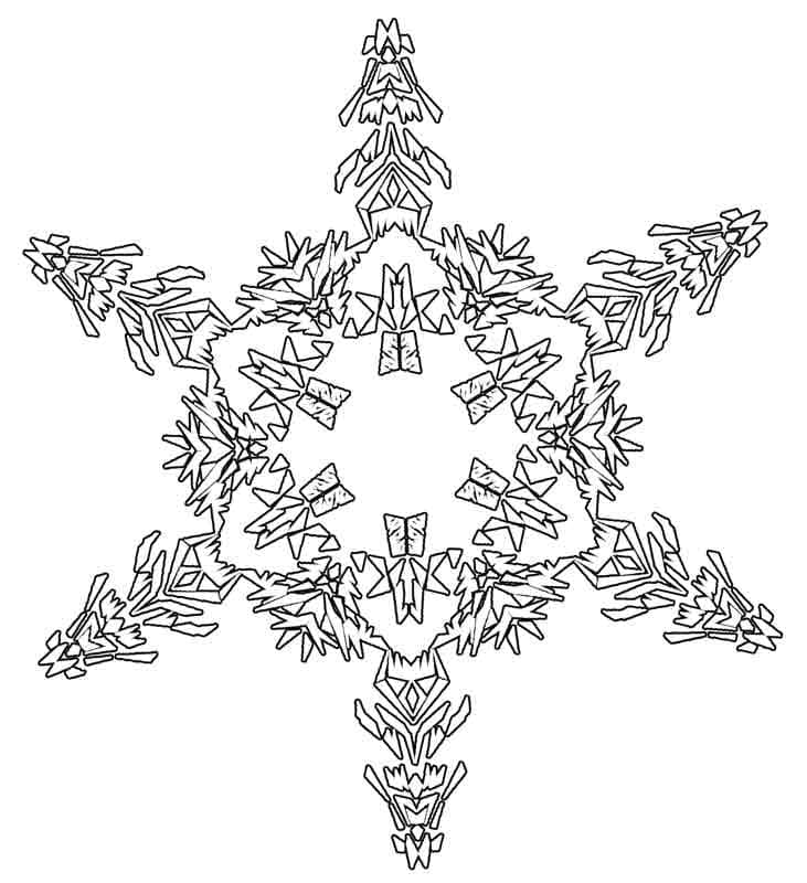 Smuk snefnug Tegninger til Farvelægning