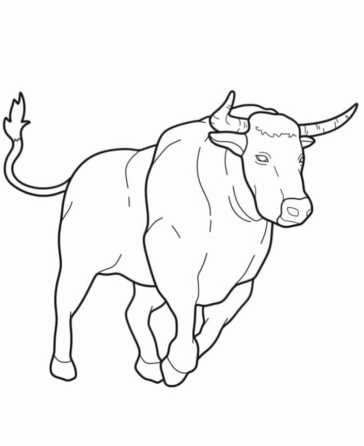 Omrids af tyrløb Tegninger til Farvelægning