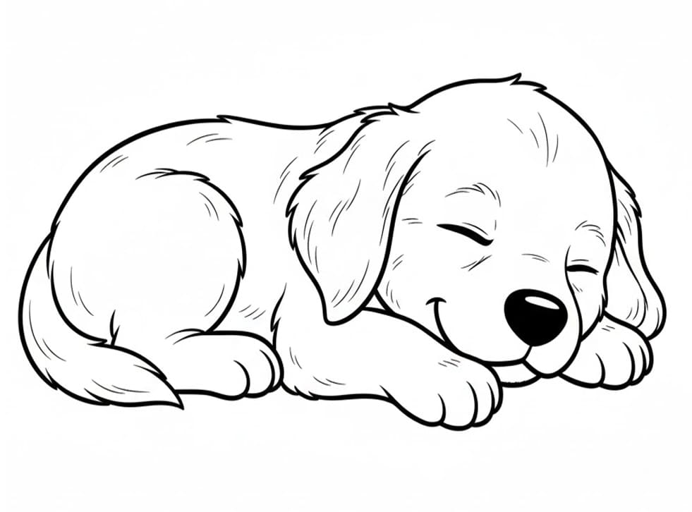 Golden Retriever søvn Tegninger til Farvelægning