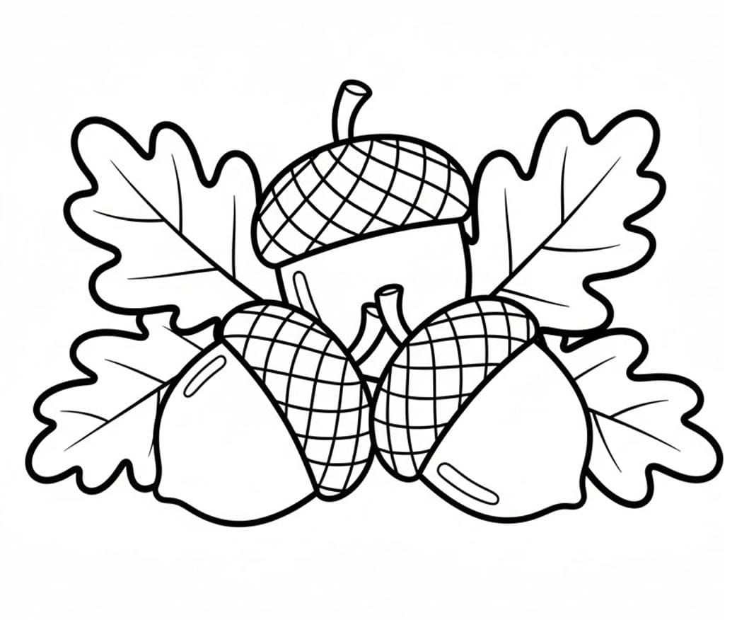 Agern Buket Tegninger til Farvelægning