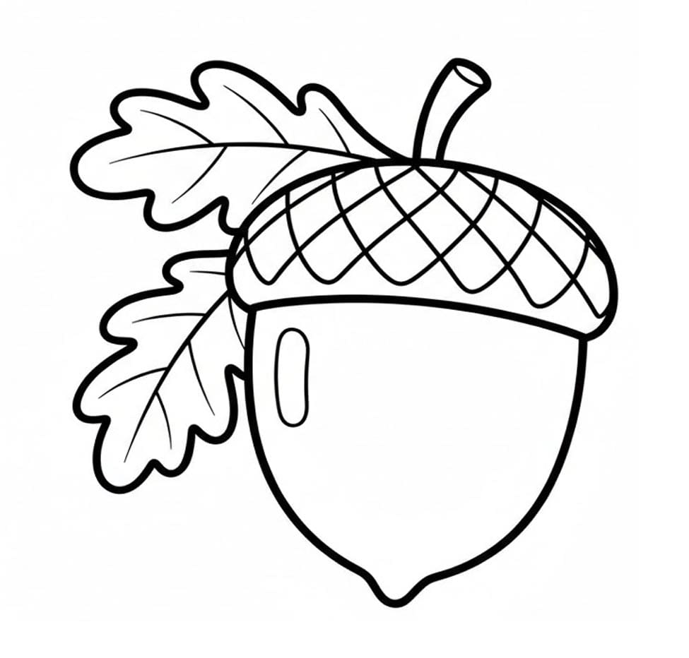 Agern Med Egeblad Tegninger til Farvelægning