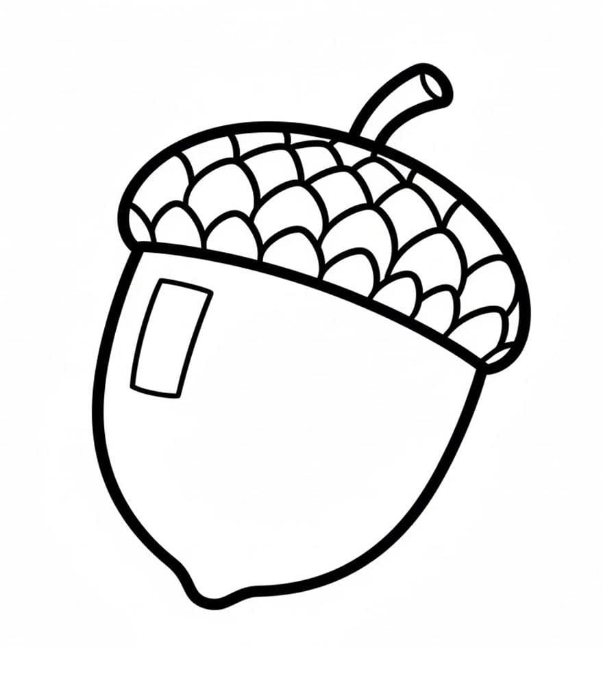 Agern Med Hat Tegninger til Farvelægning