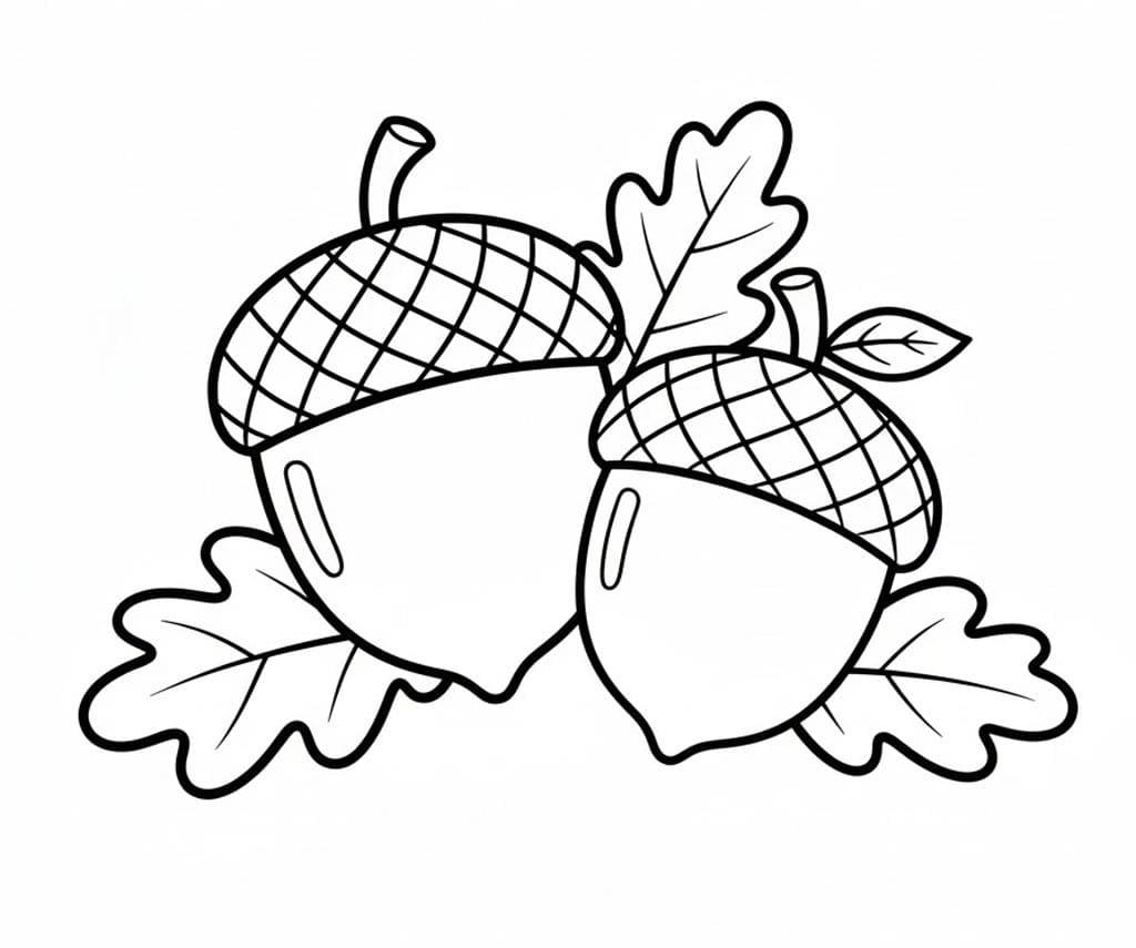 Agern Og Blade Tegninger til Farvelægning