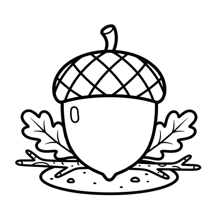 Agern På Jord Tegninger til Farvelægning