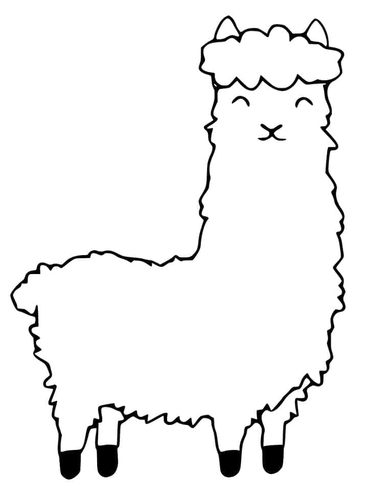 Alpaka glad Tegninger til Farvelægning