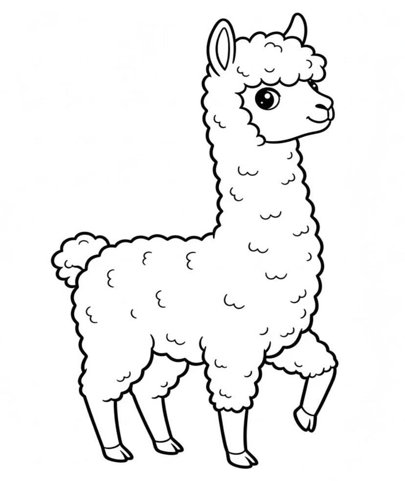 Alpaka I Bevægelse Tegninger til Farvelægning