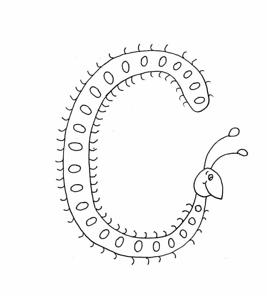 Bogstavet C er for tusindben Tegninger til Farvelægning