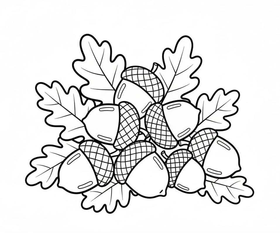 Efterårs Agern Tegninger til Farvelægning