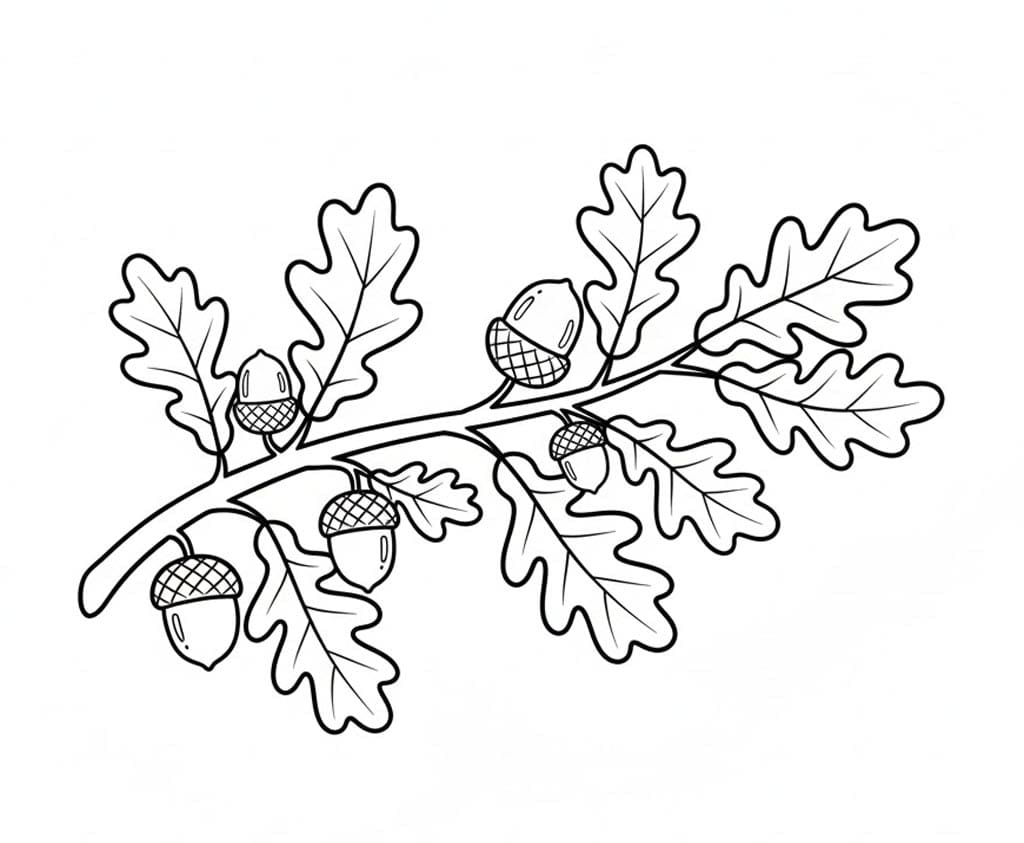 Egegren Med Agern Tegninger til Farvelægning