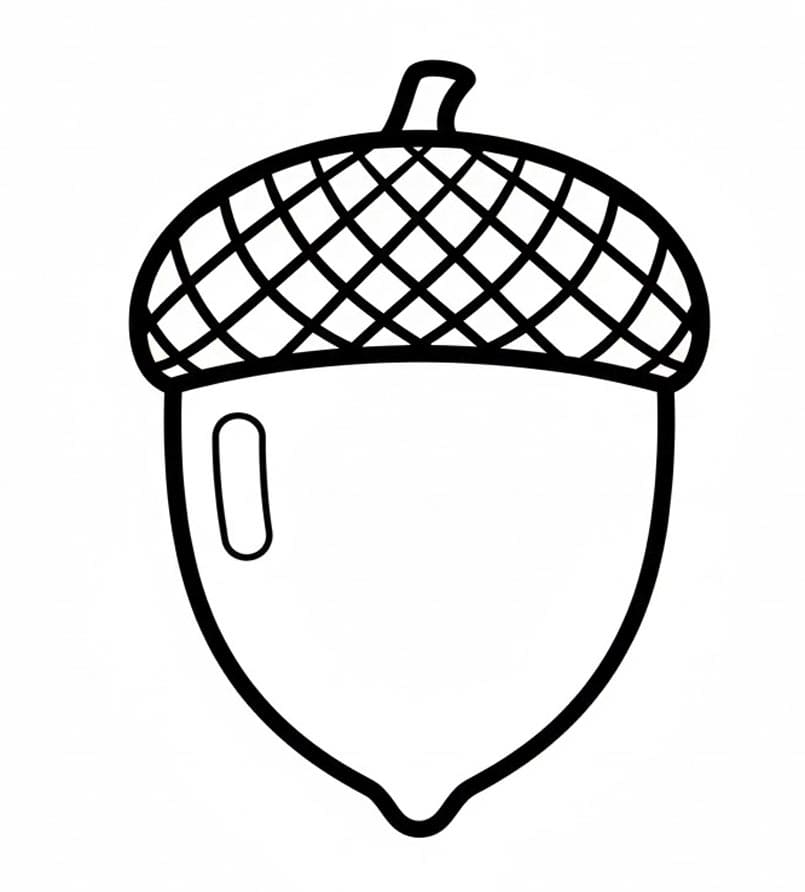 Enkelt Agern Tegninger til Farvelægning