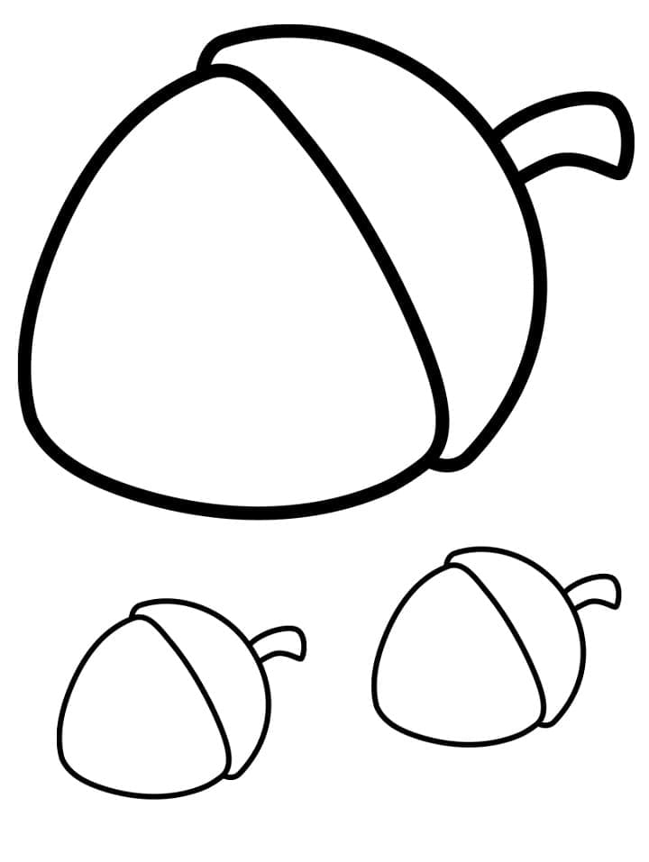 Enkle agern Tegninger til Farvelægning