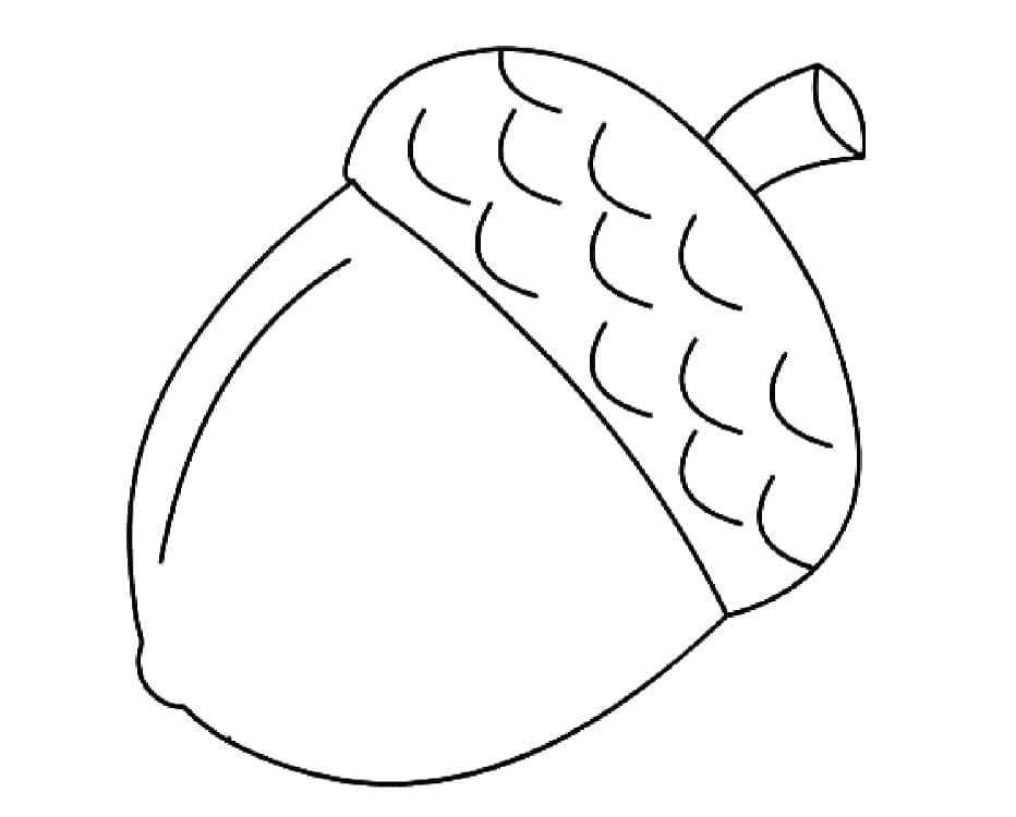 Gratis agern Tegninger til Farvelægning