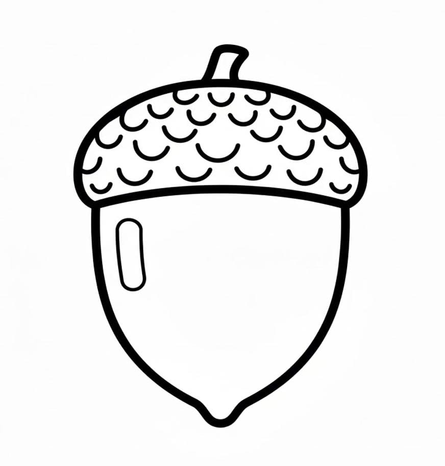 Klassisk Agern Tegninger til Farvelægning