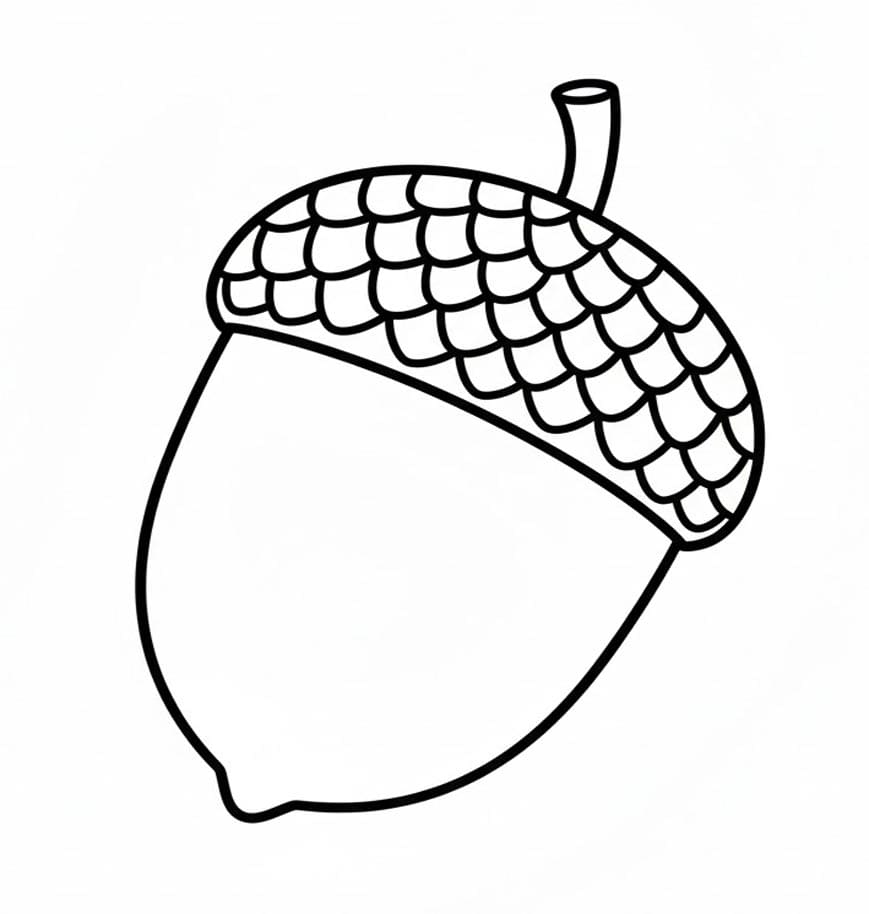 Agern Tegninger til Farvelægning