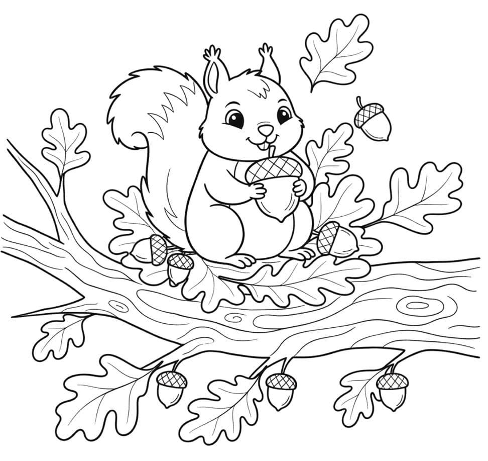 Skov Egern Tegninger til Farvelægning