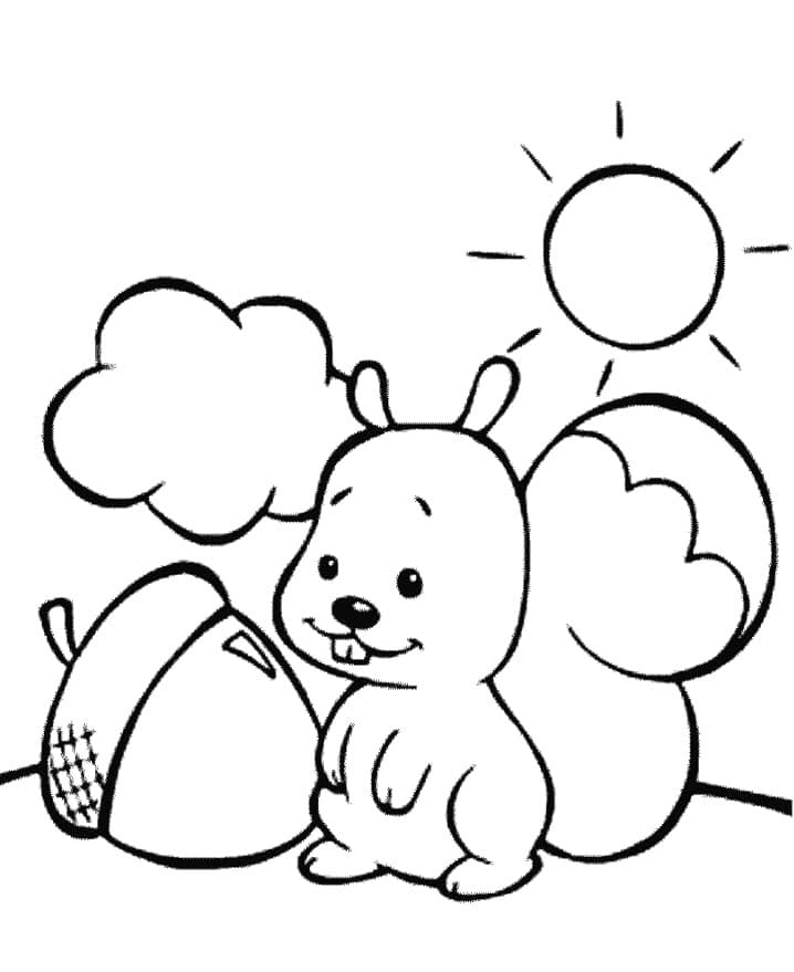 Sød egern og agern og sol Tegninger til Farvelægning