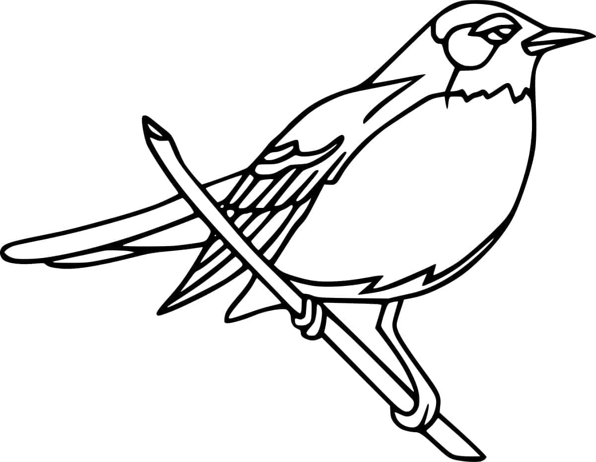 Fri Rødhals Fugl Tegninger til Farvelægning